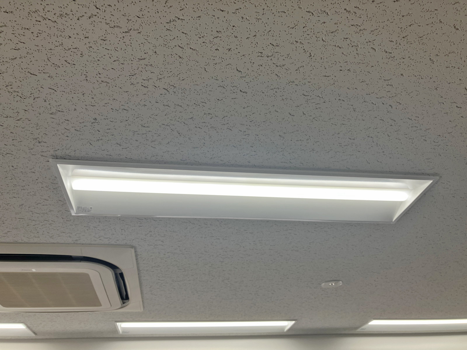 電灯
