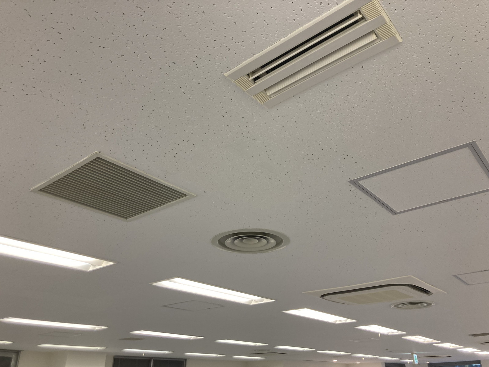 天井の様子