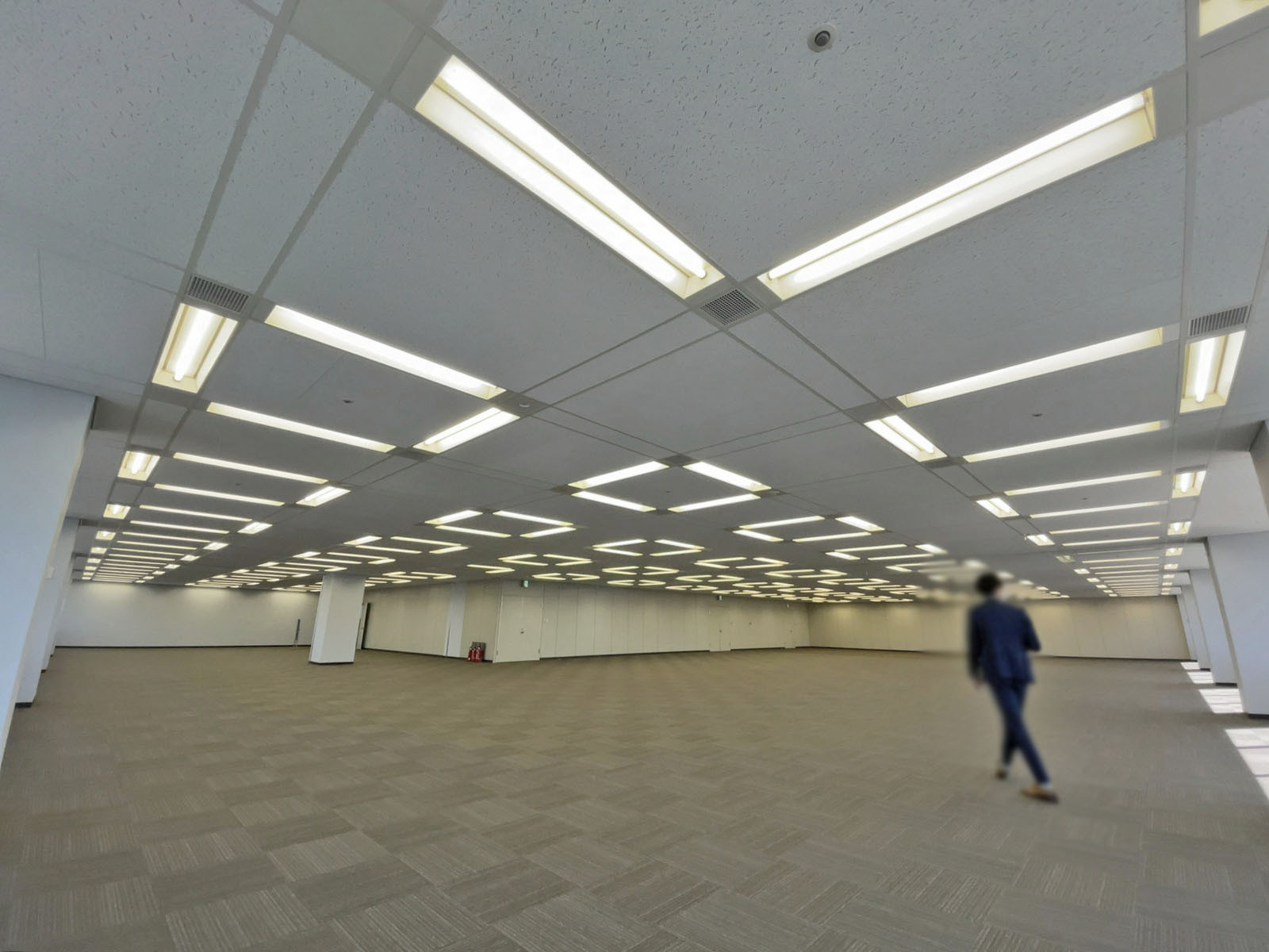 天井の様子