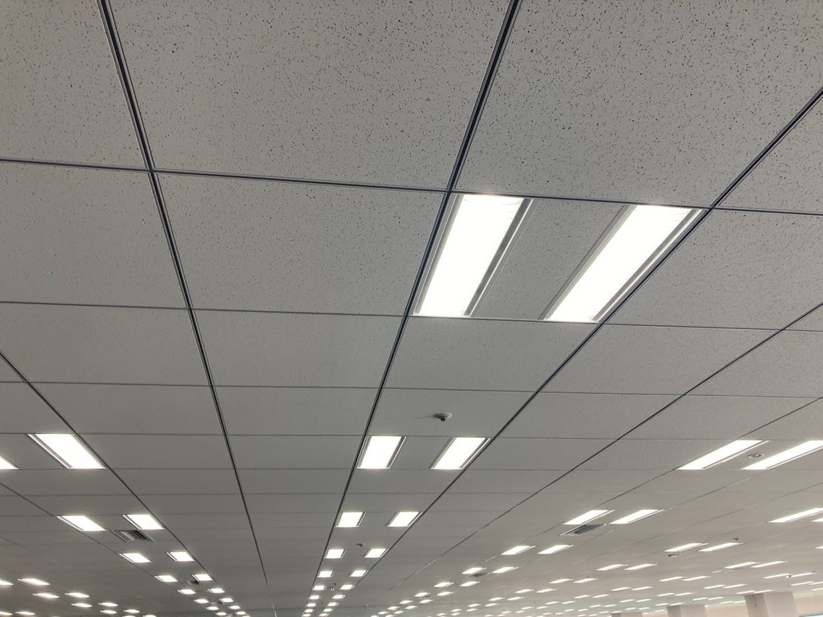 天井の様子