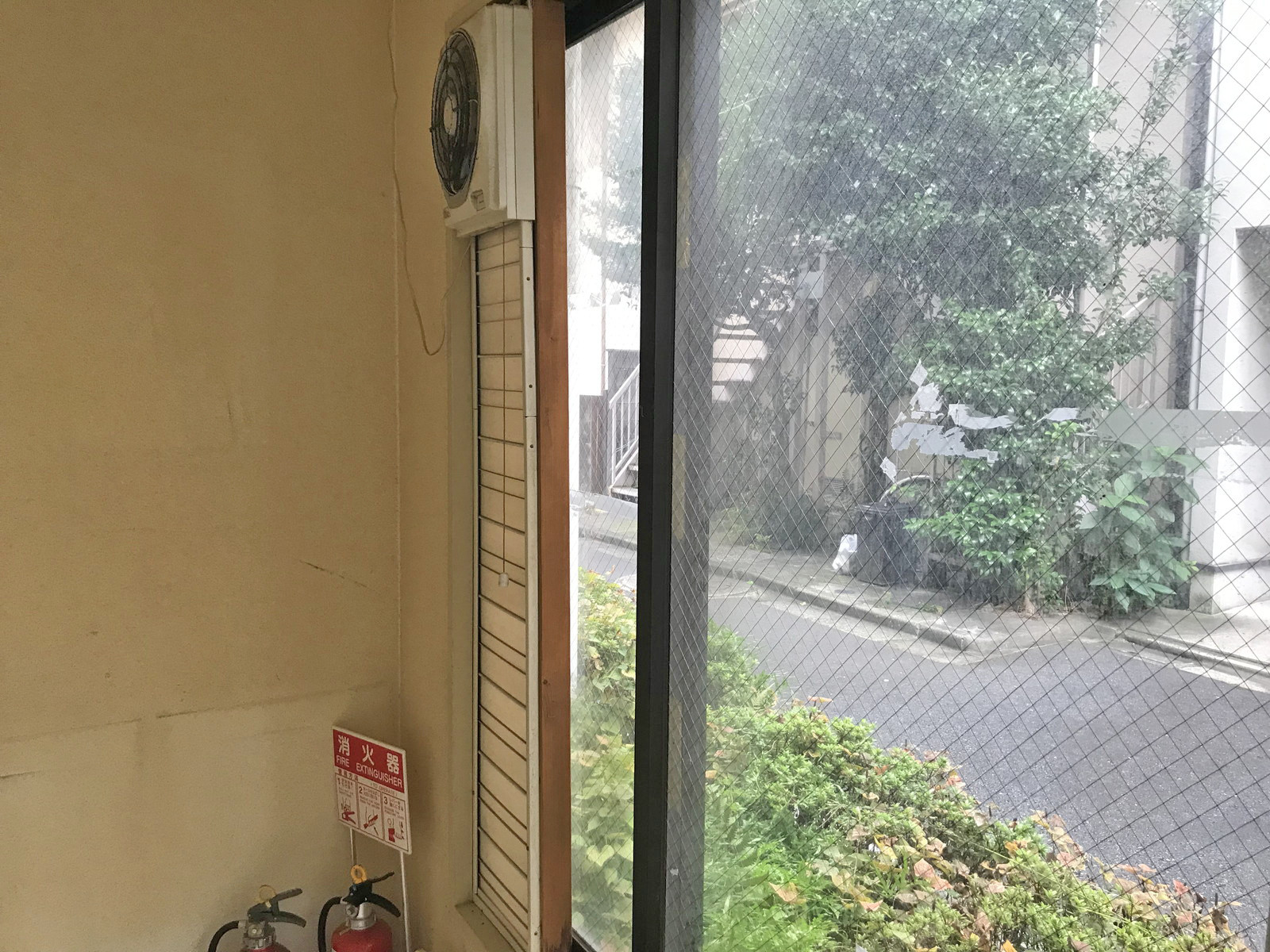 窓際の様子
