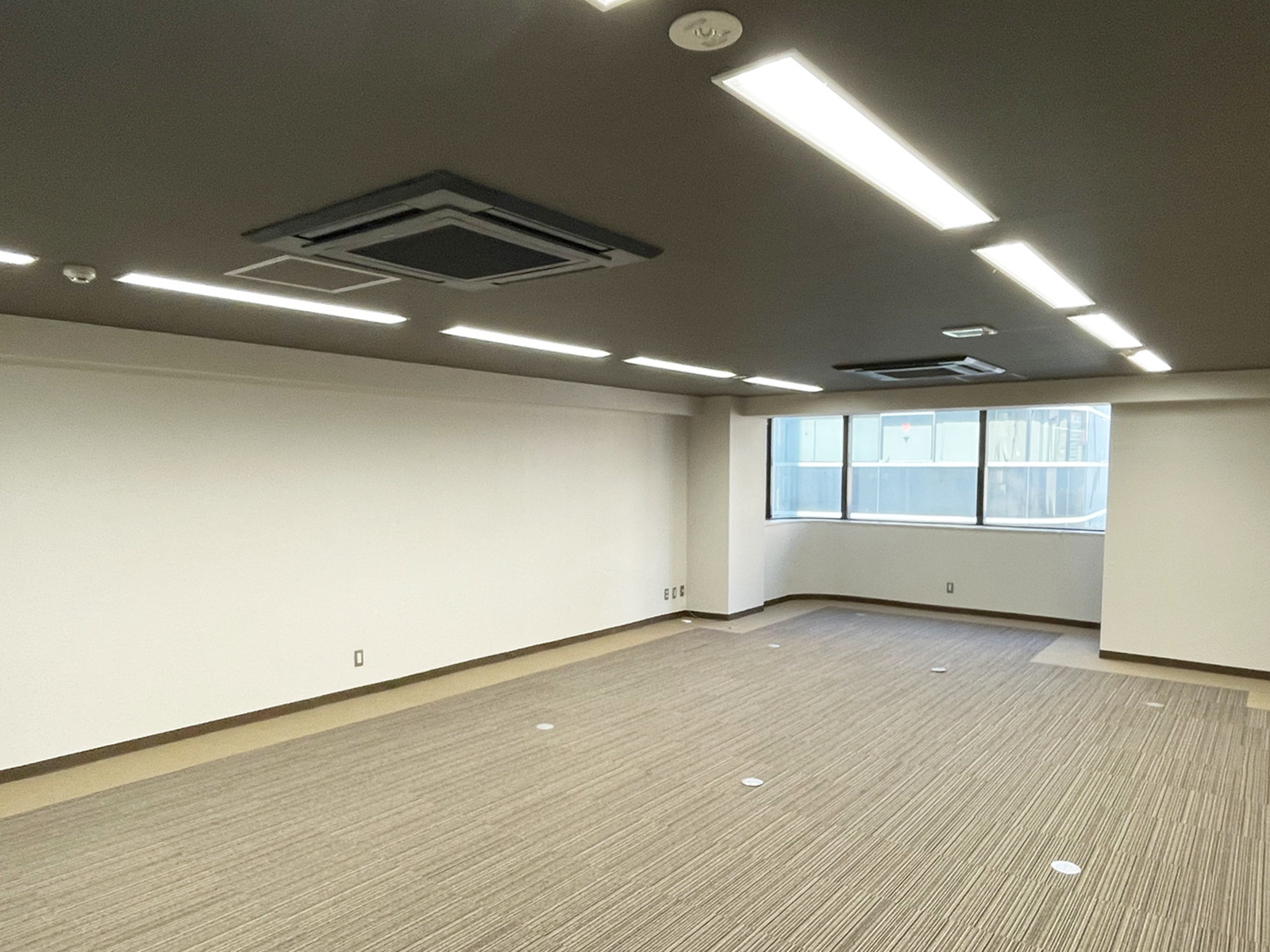 別角度の様子