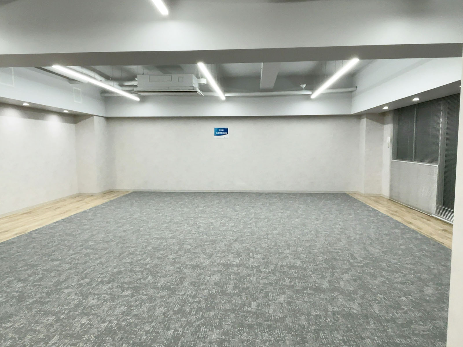 別角度の様子