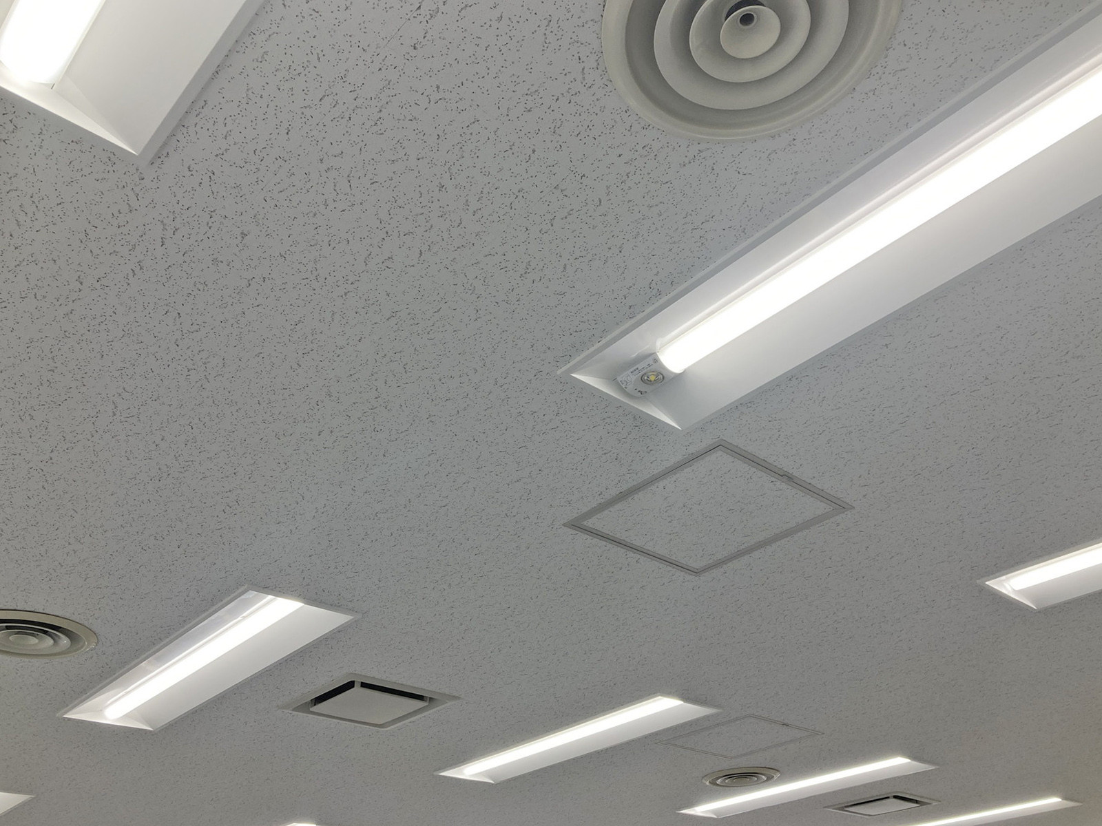 天井の様子