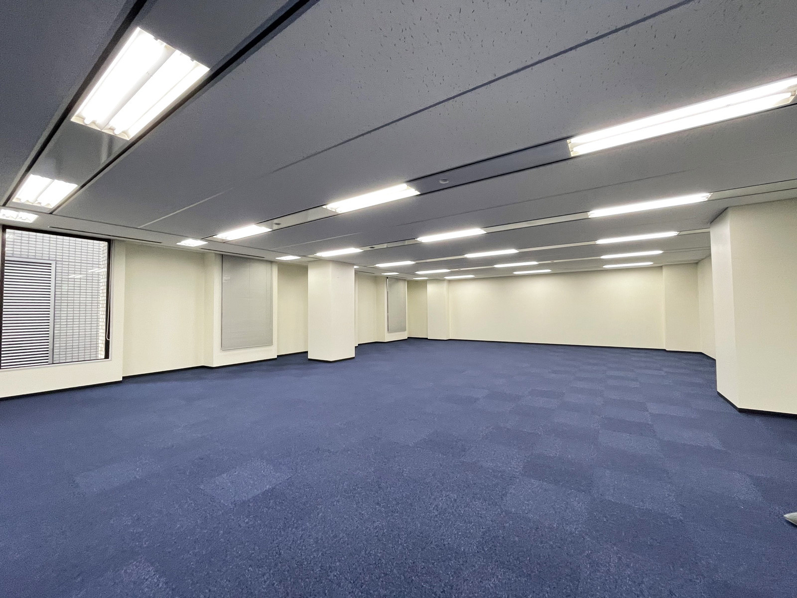 別角度の様子