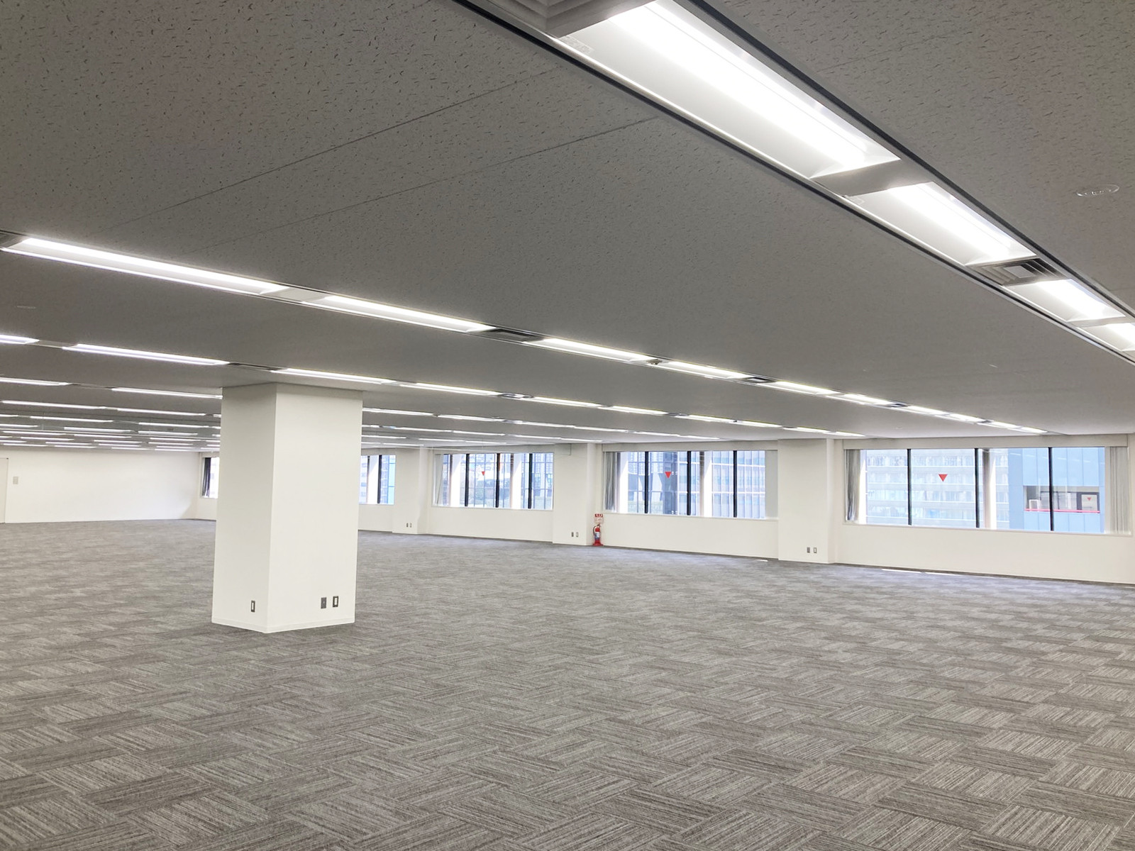 別角度の様子