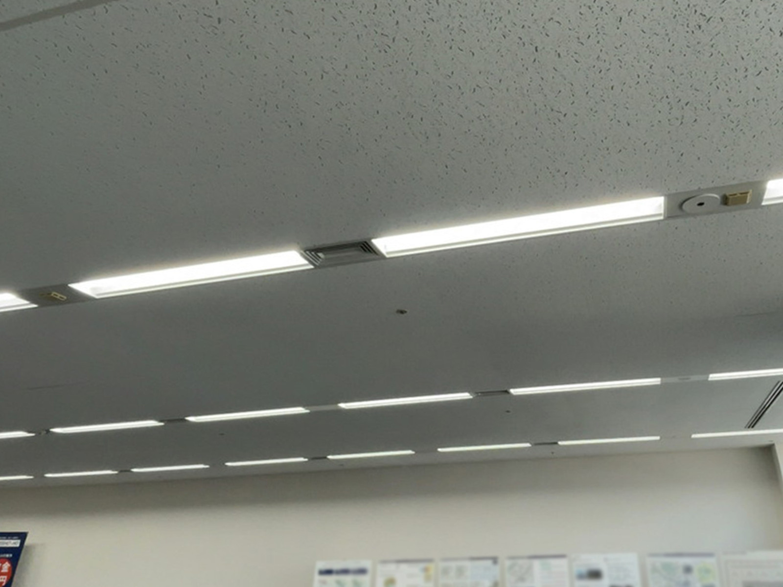 天井の様子