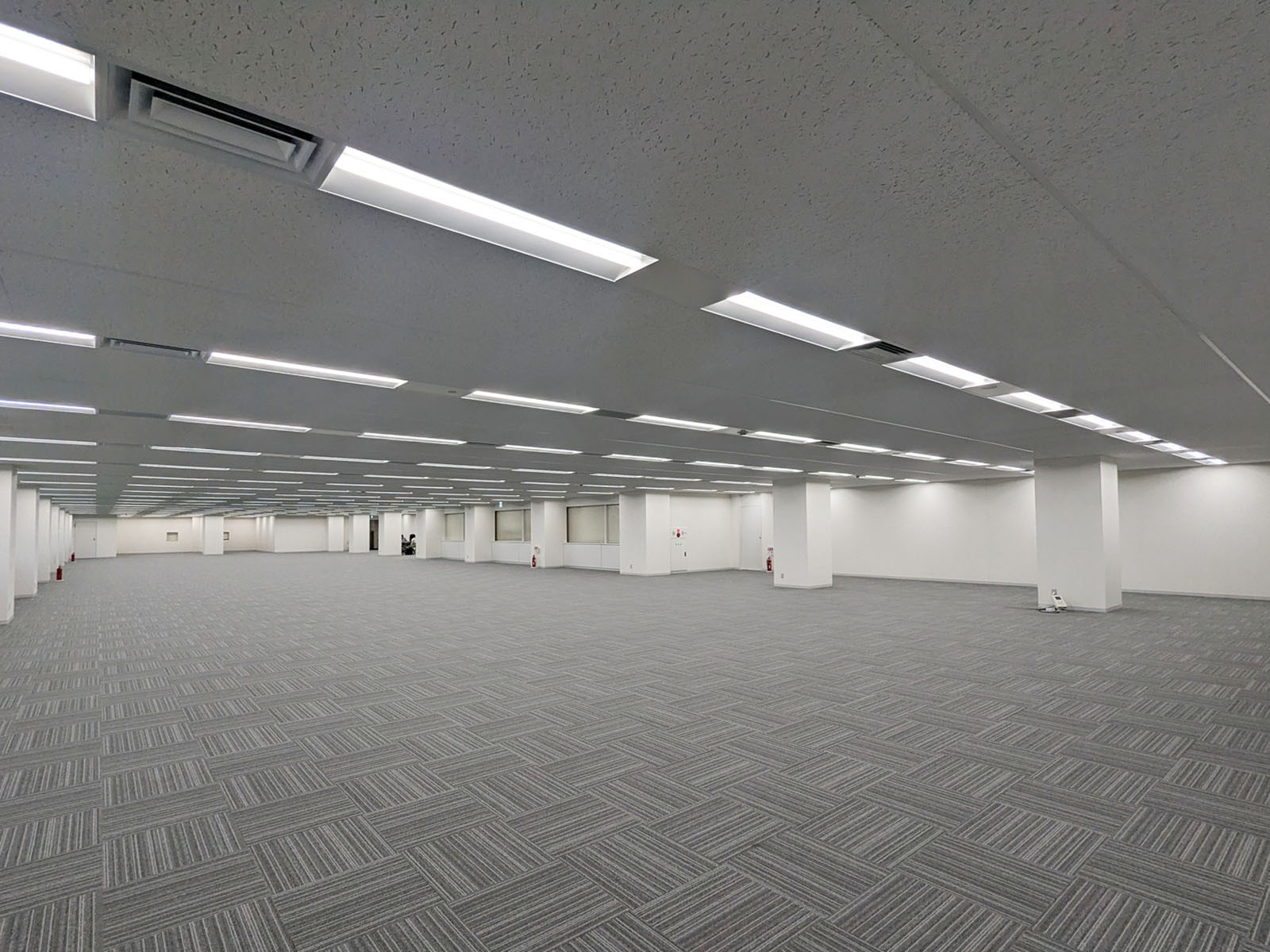 別角度からの様子