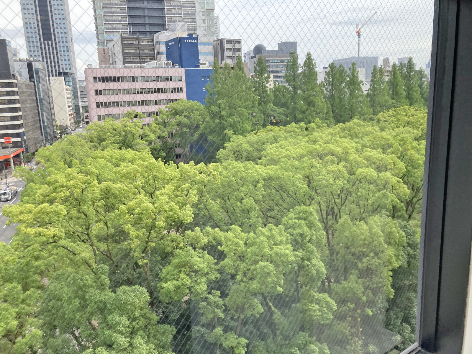 眺望