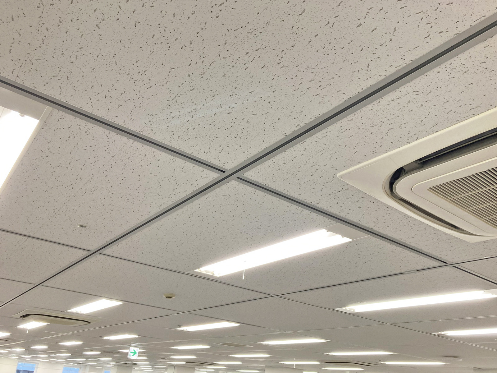 天井の様子