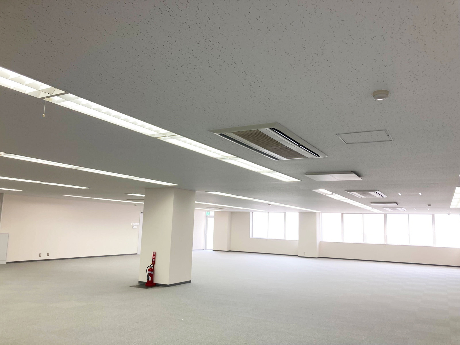 別角度の様子