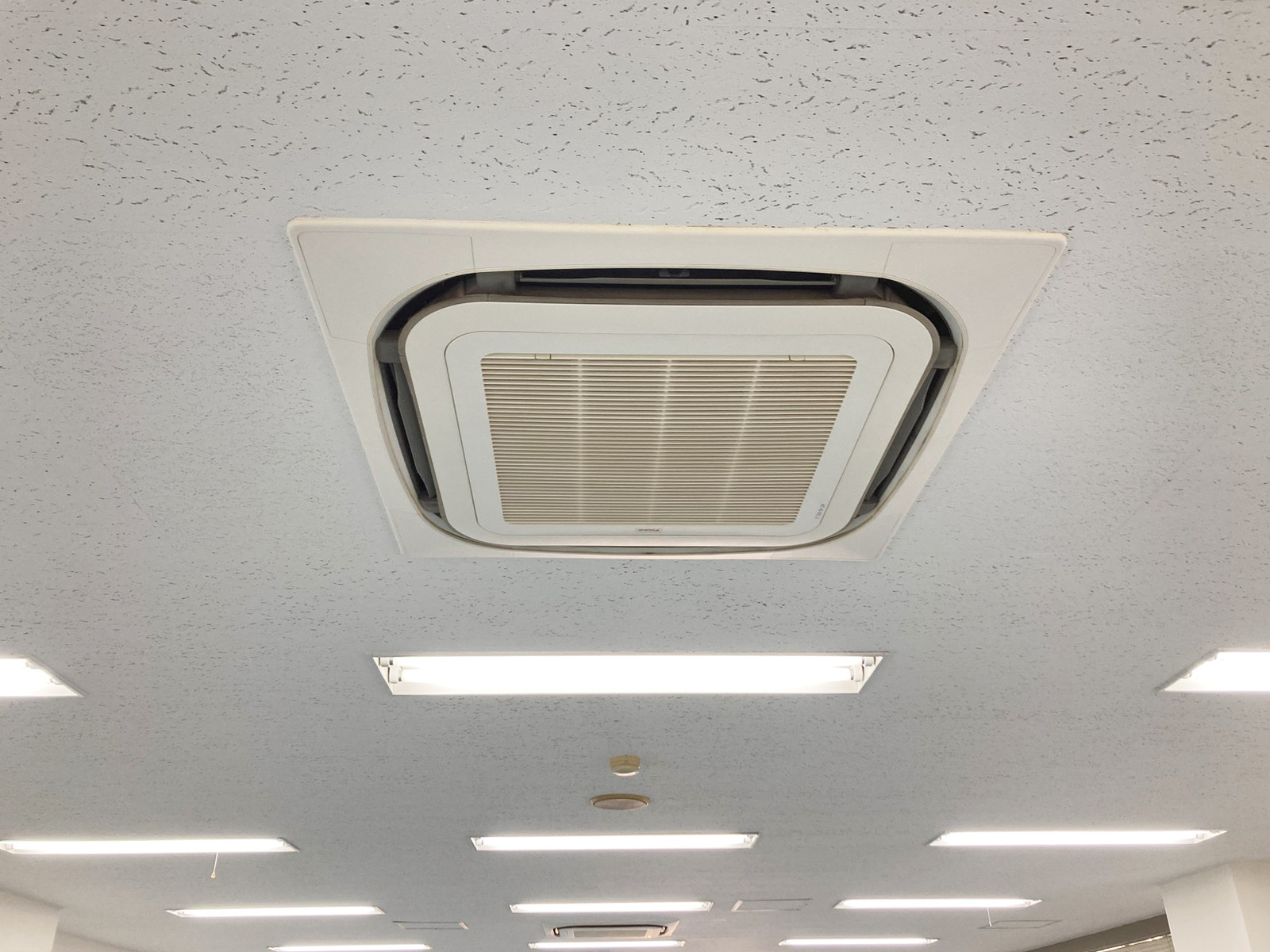 天井の様子