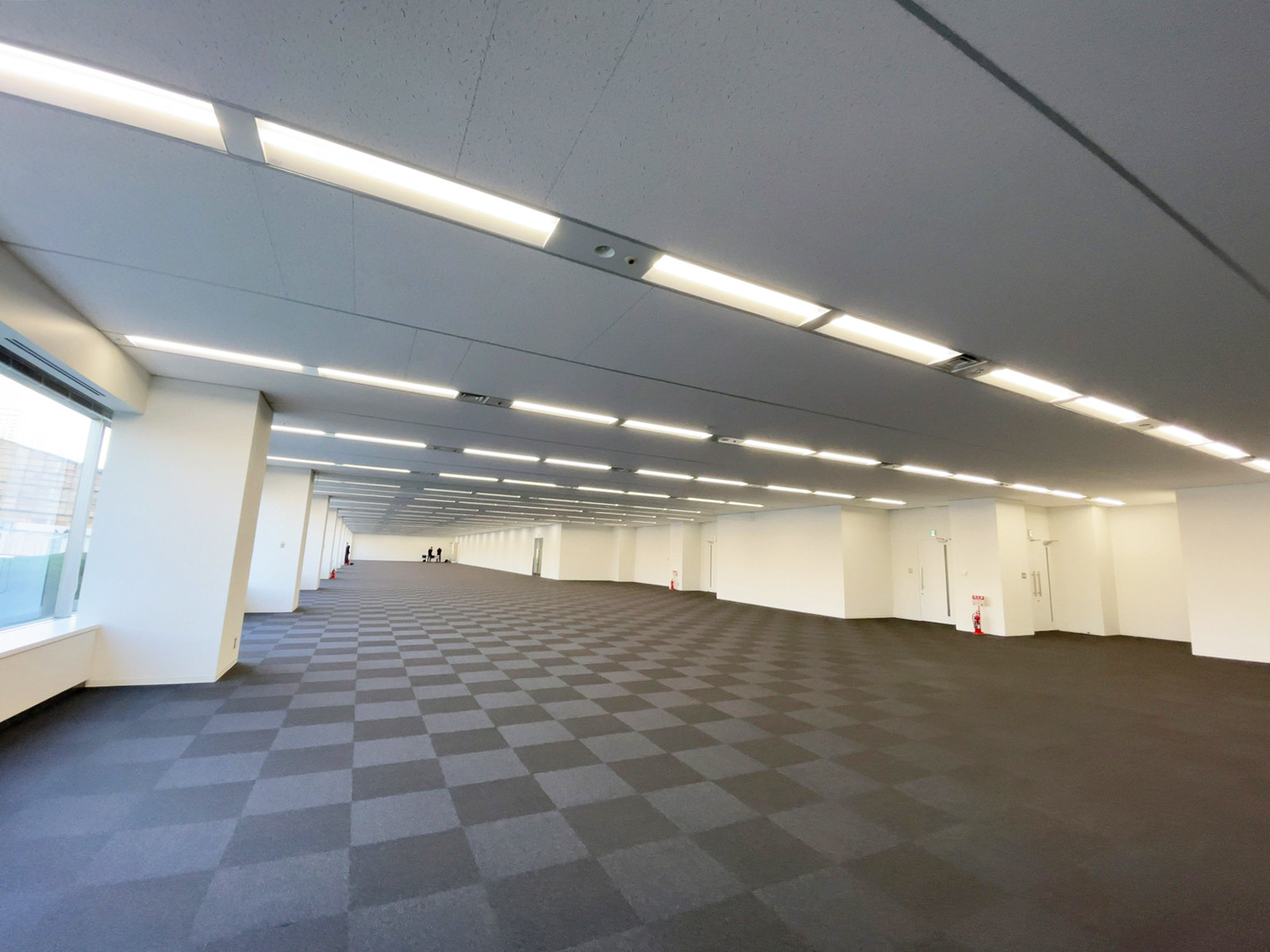 別角度の様子