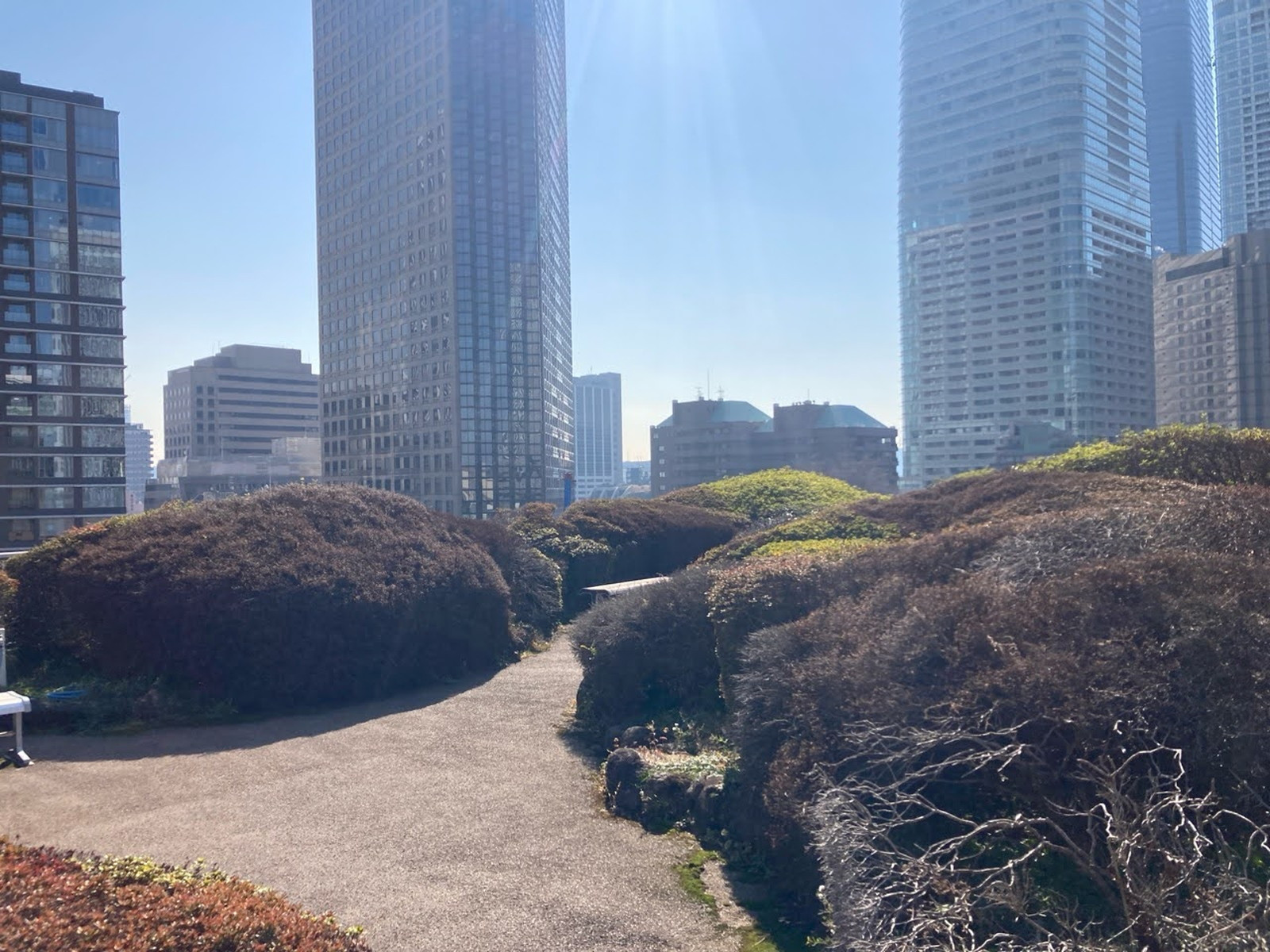 屋上庭園