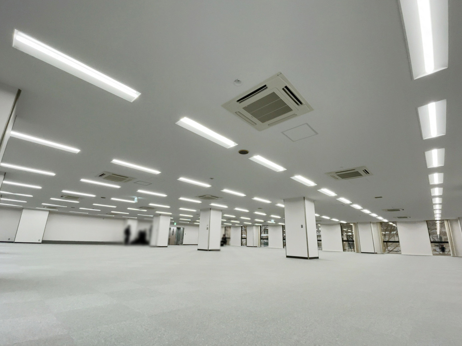天井の様子