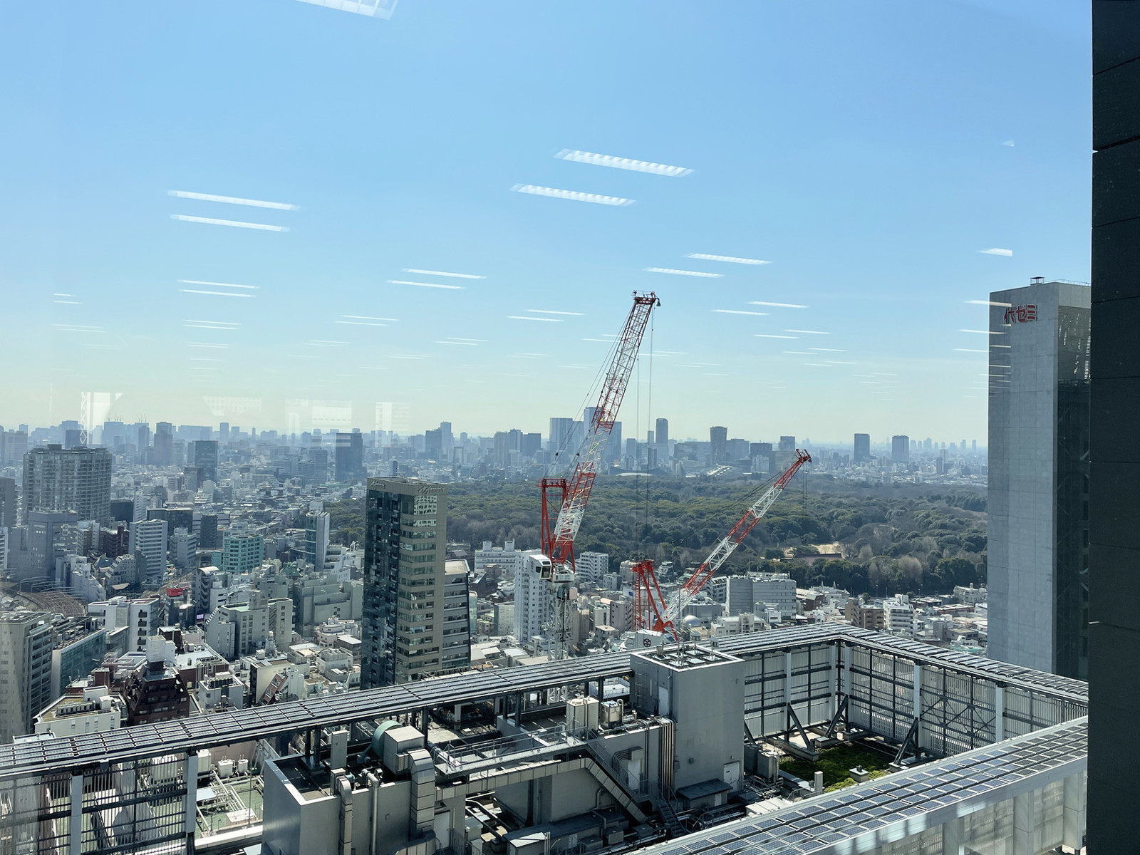 眺望（新宿御苑側）