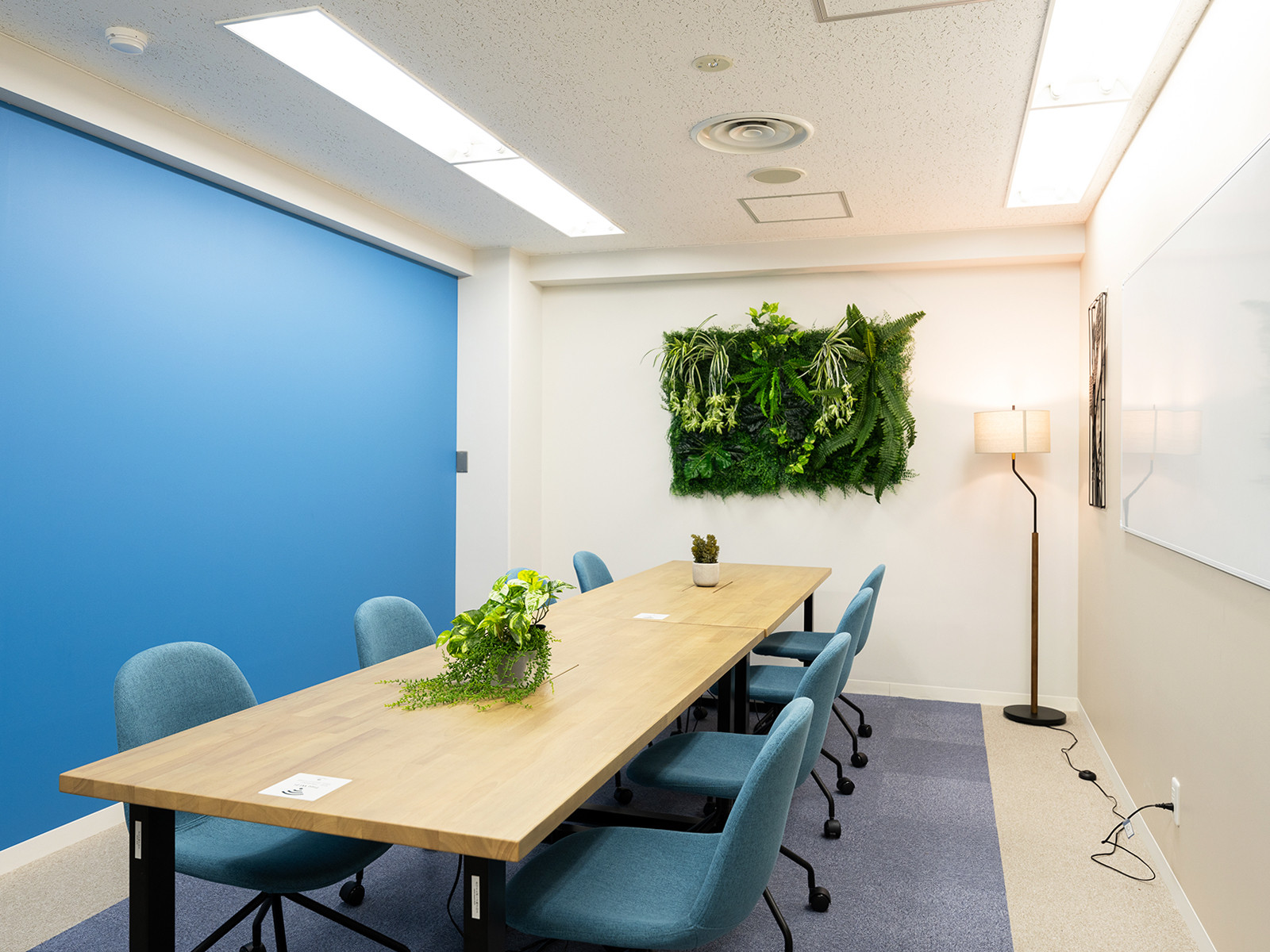 室内6