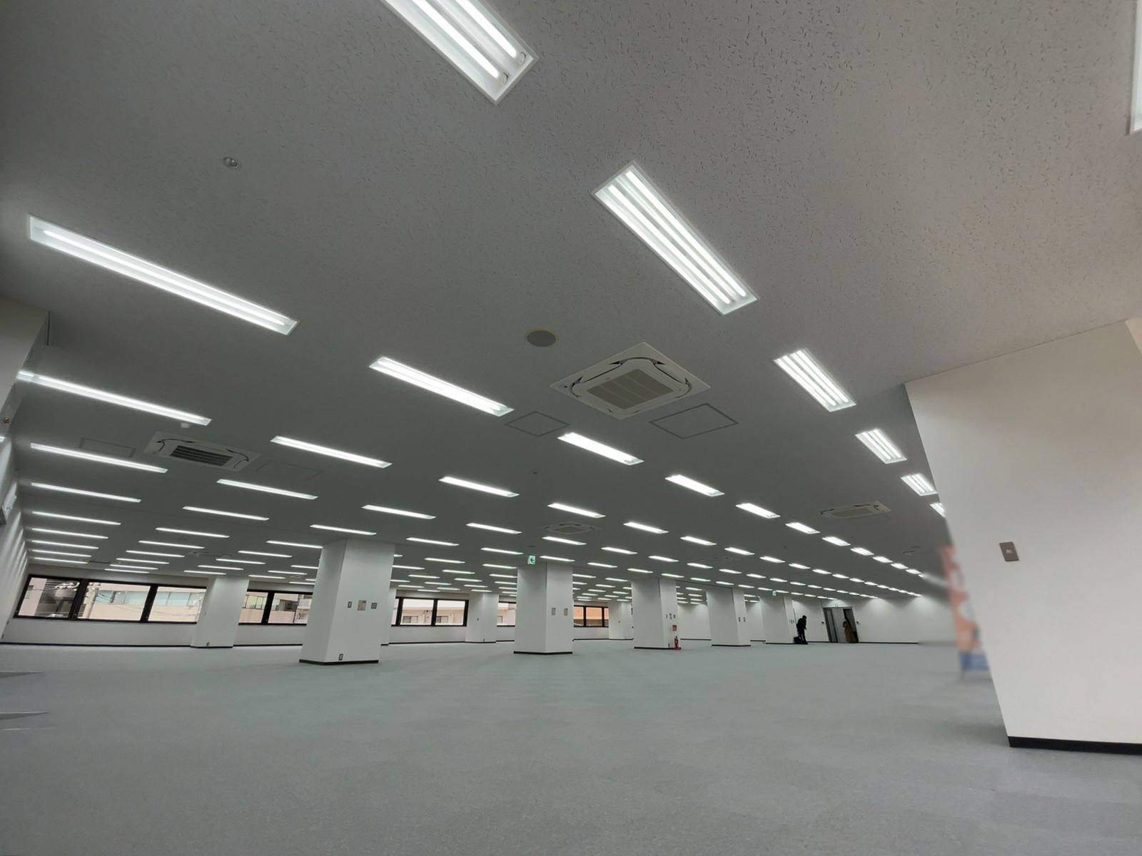 天井の様子
