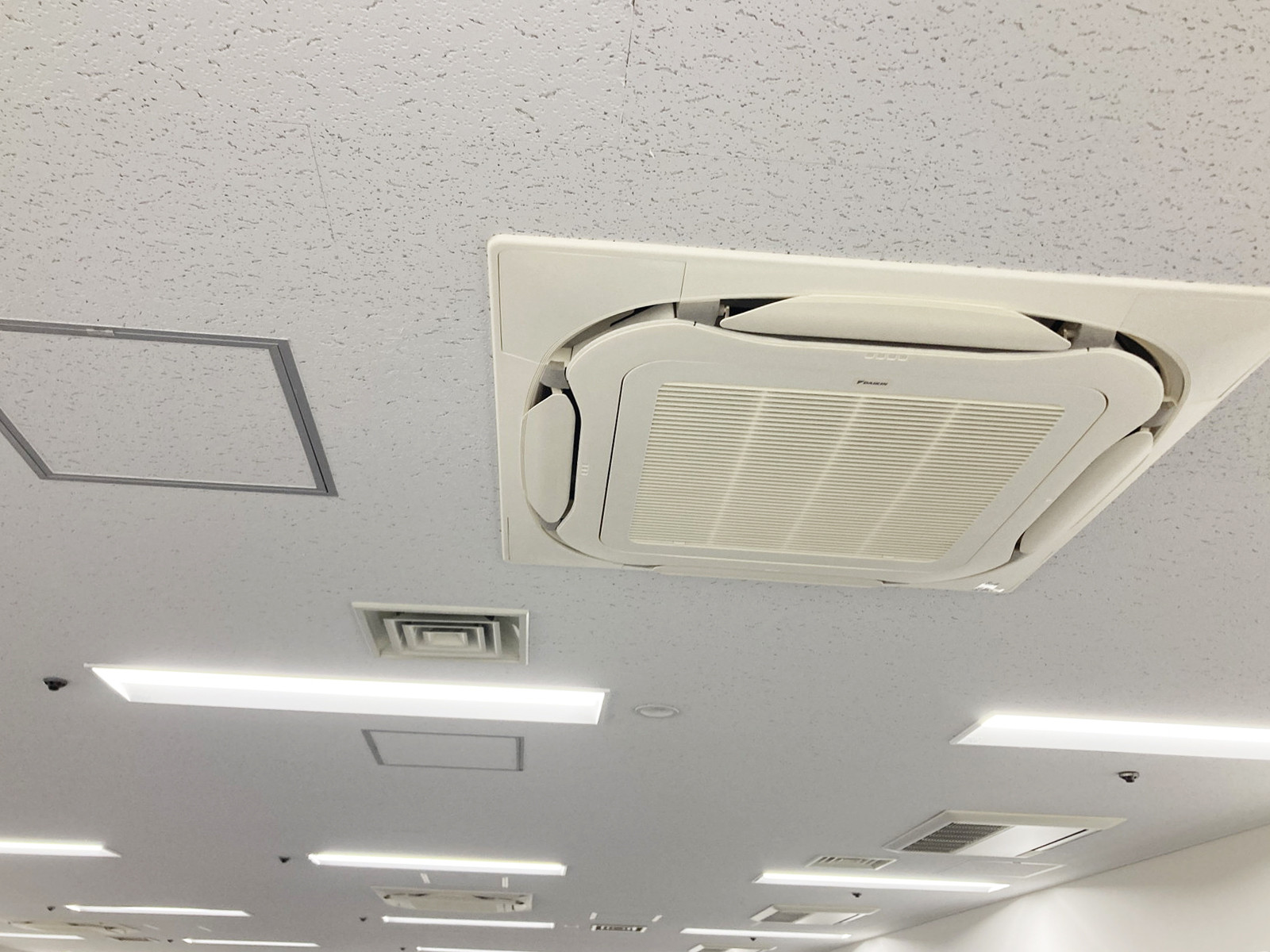 天井の様子