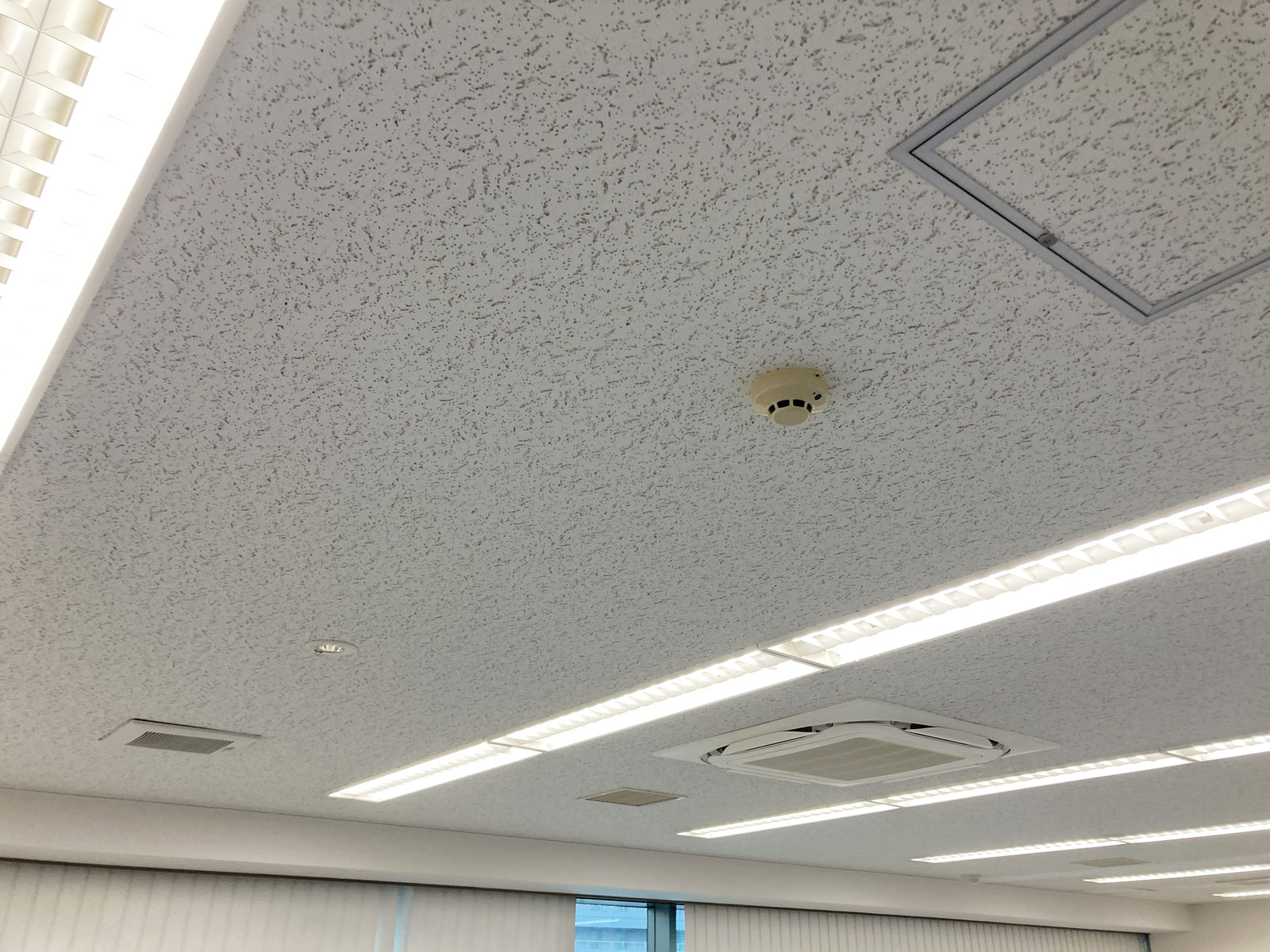天井の様子