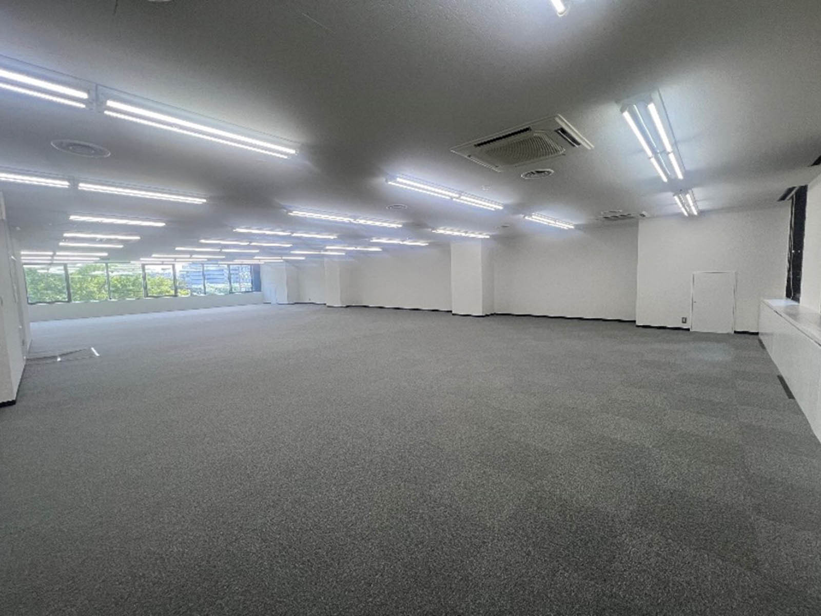 別角度の様子