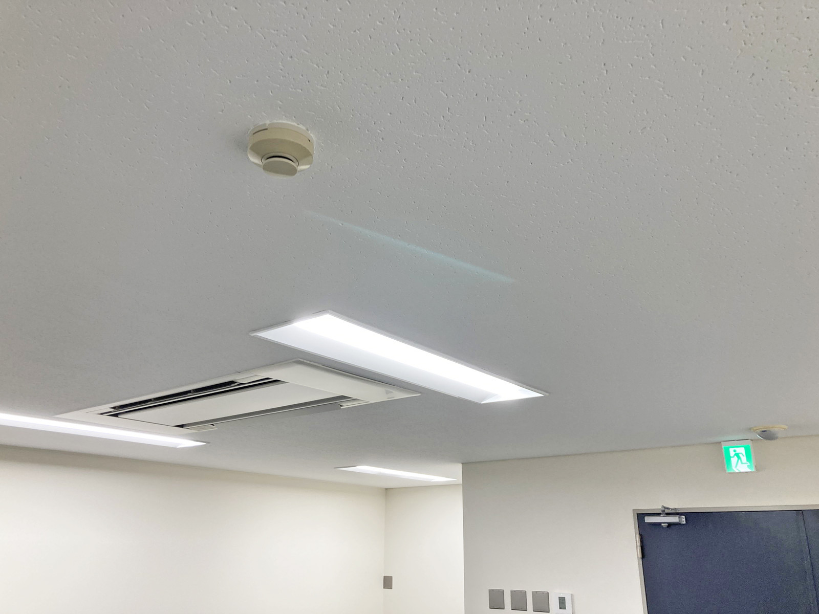 天井の様子