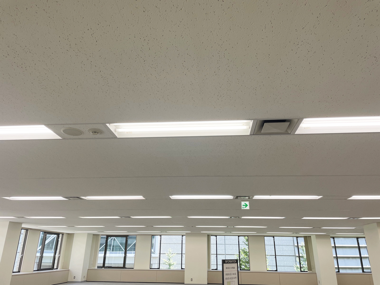 天井の様子
