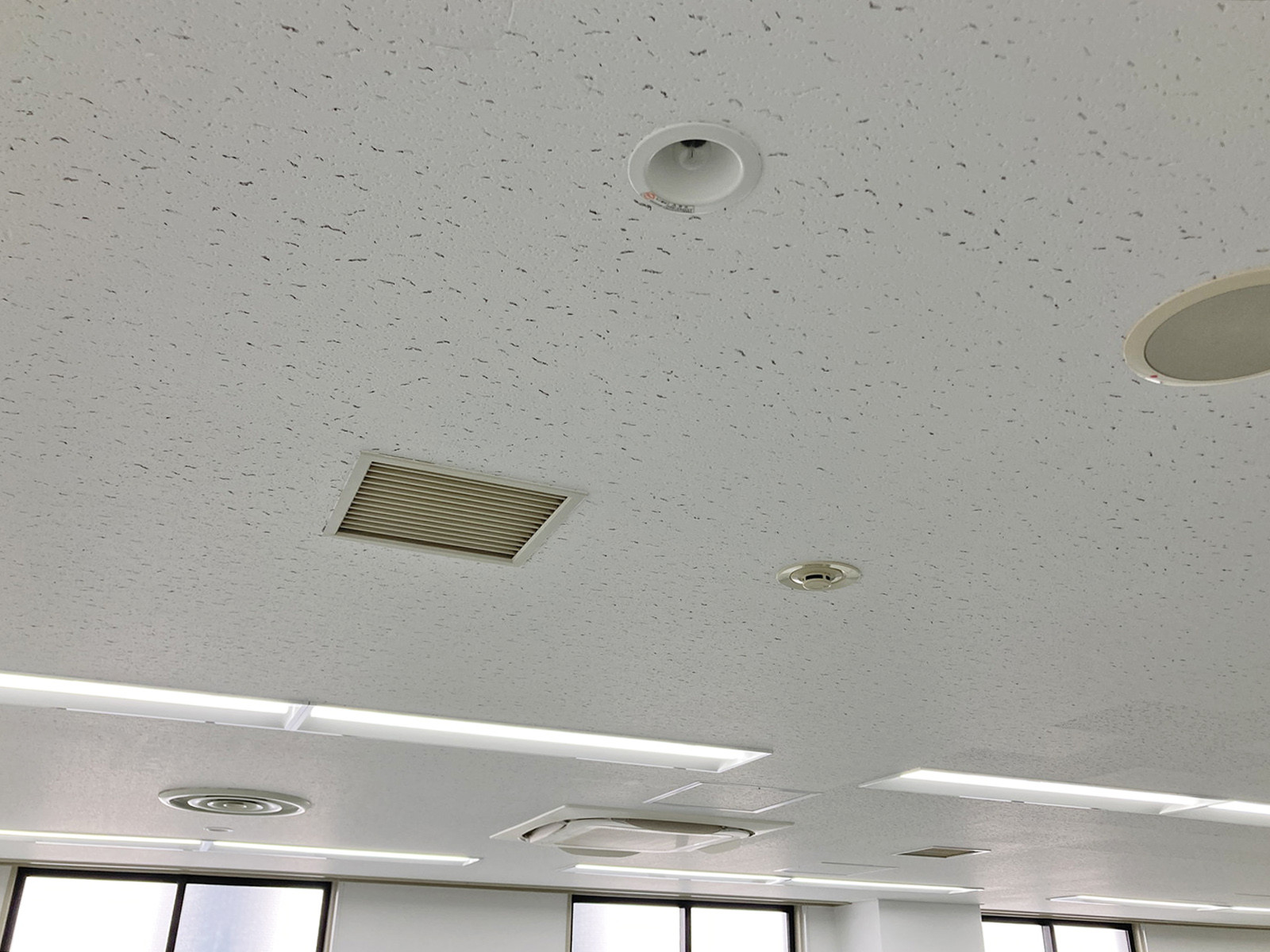 天井の様子