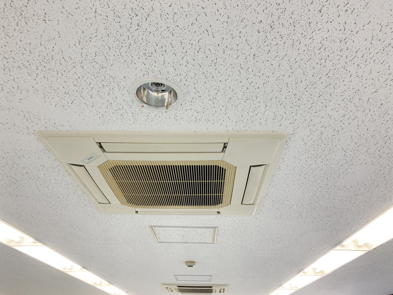 天井の様子