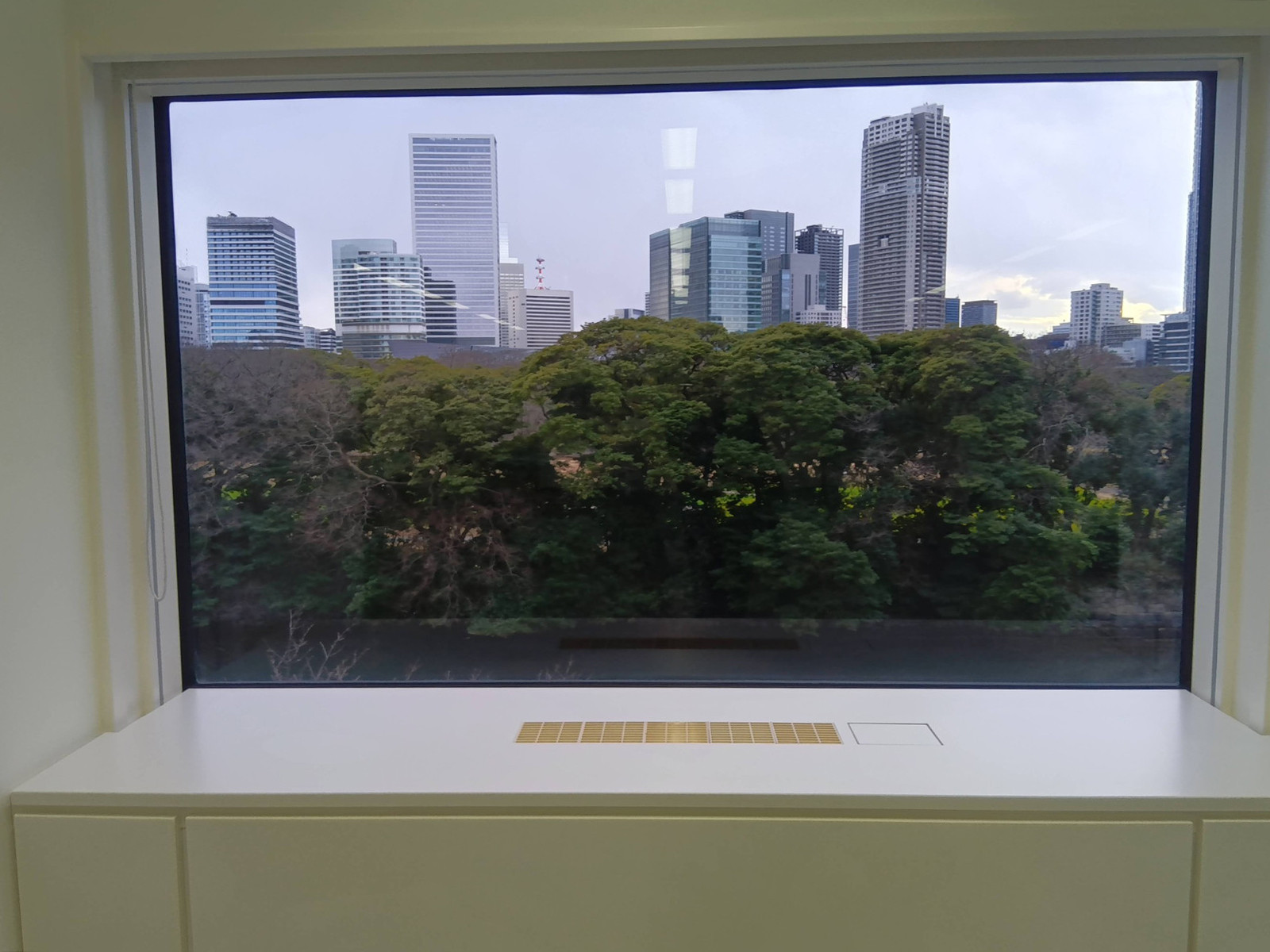 窓際の様子