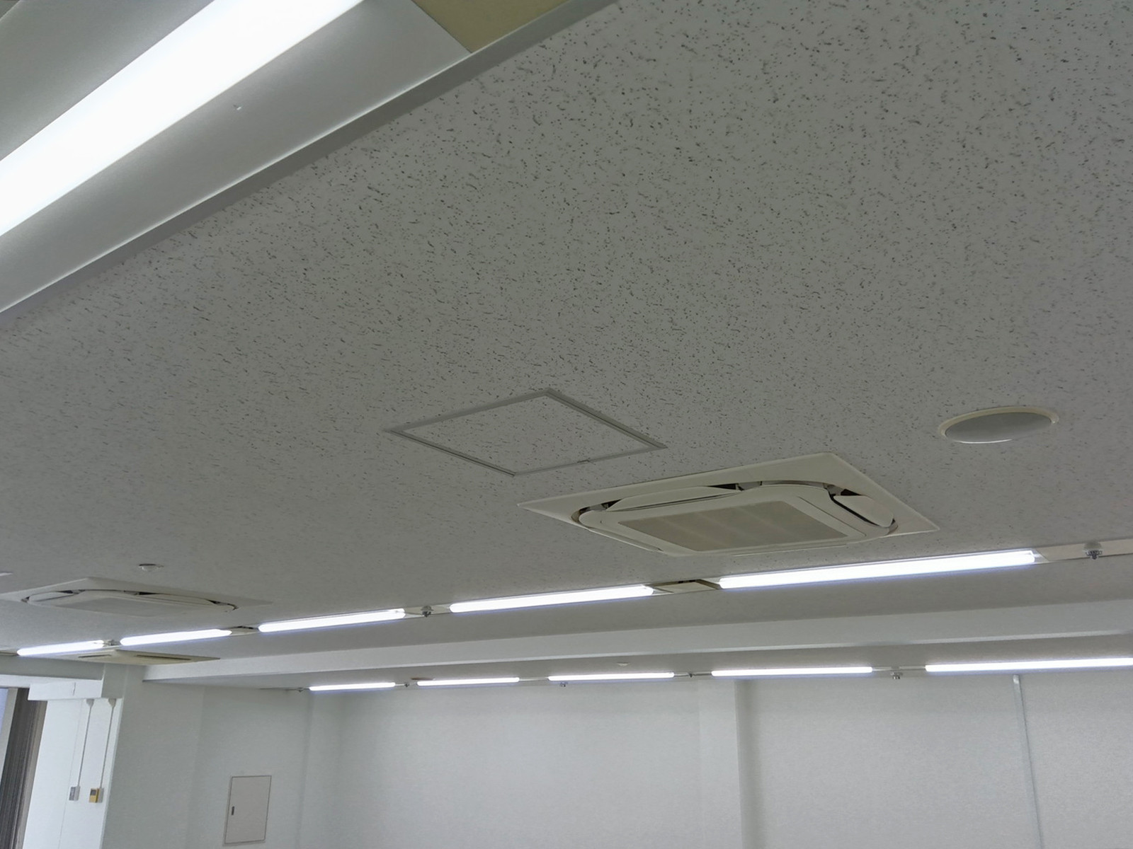 天井の様子