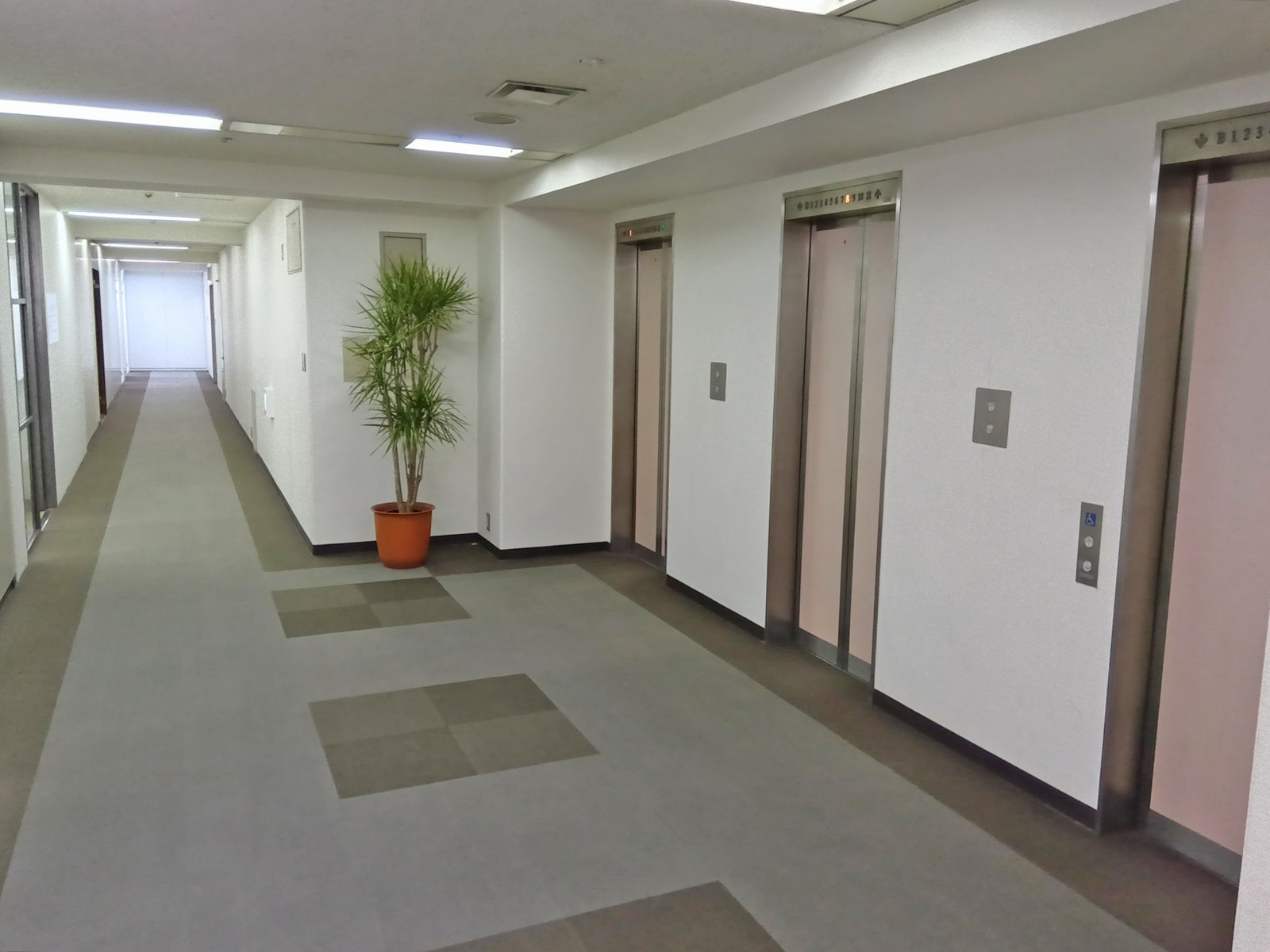 エレベーターホール