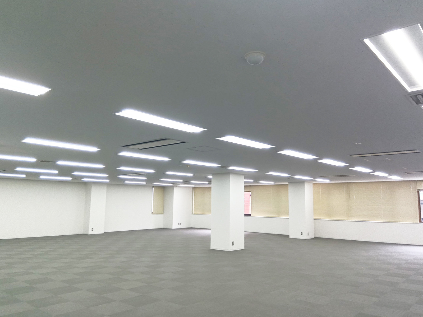 別角度の様子