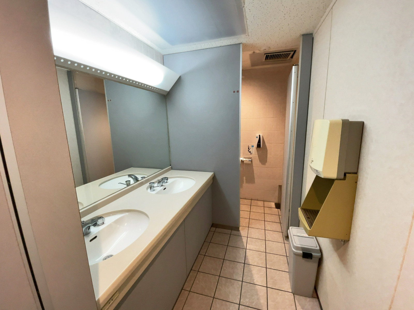 女子トイレ全体の様子