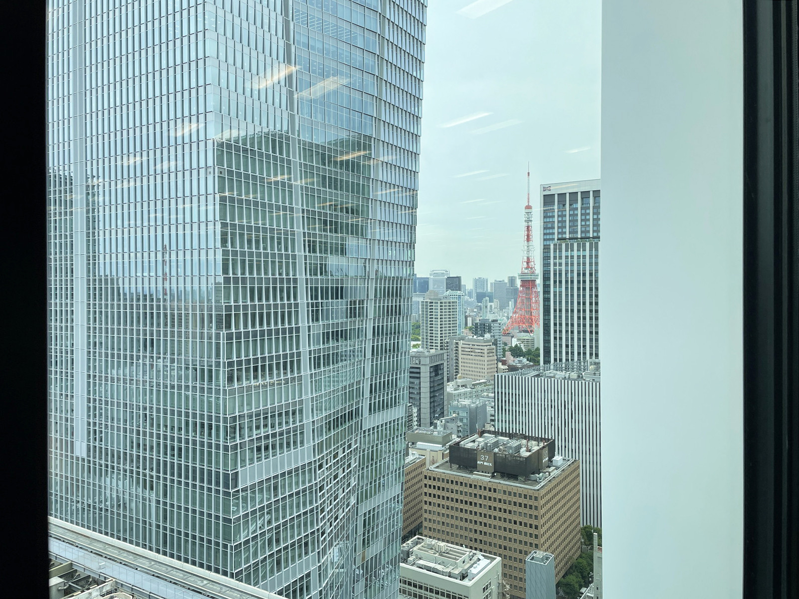 眺望(東京タワー側)