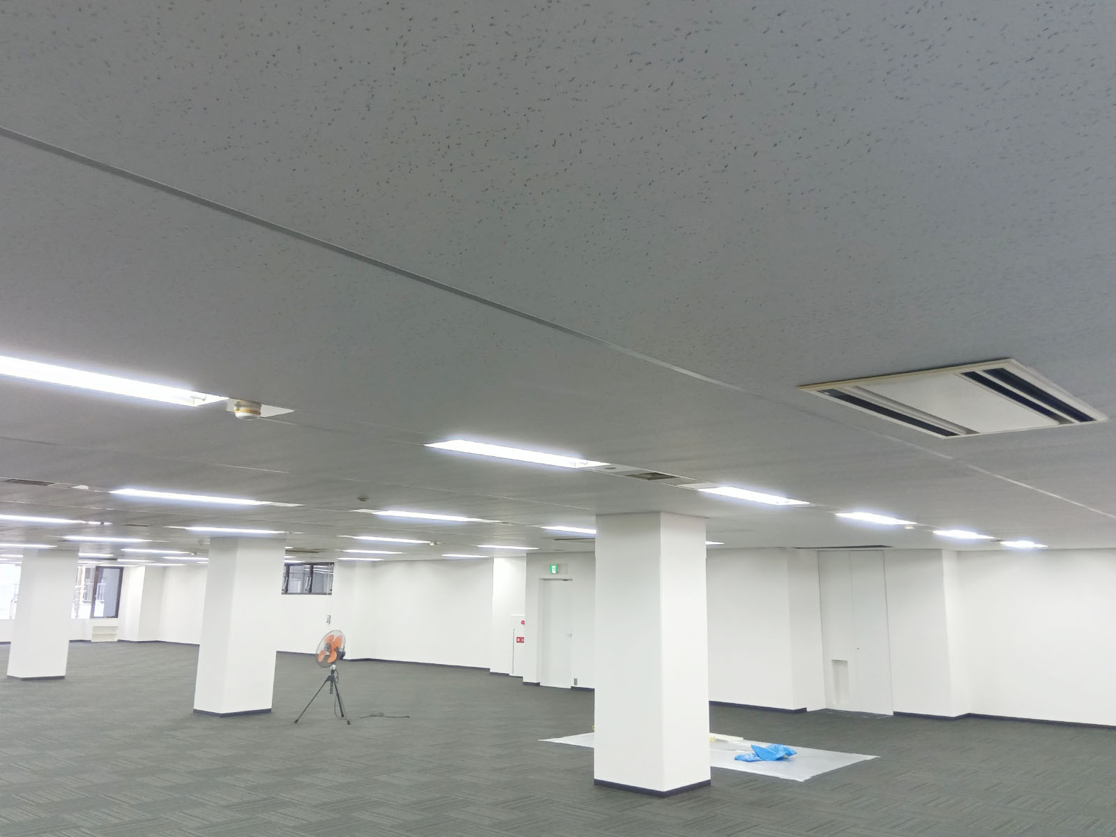 天井の様子
