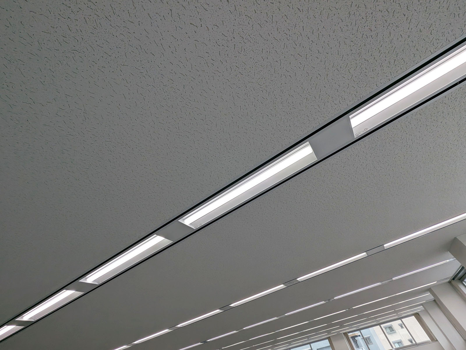 天井の様子