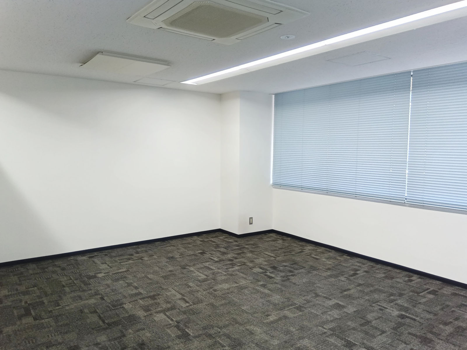 別角度の様子