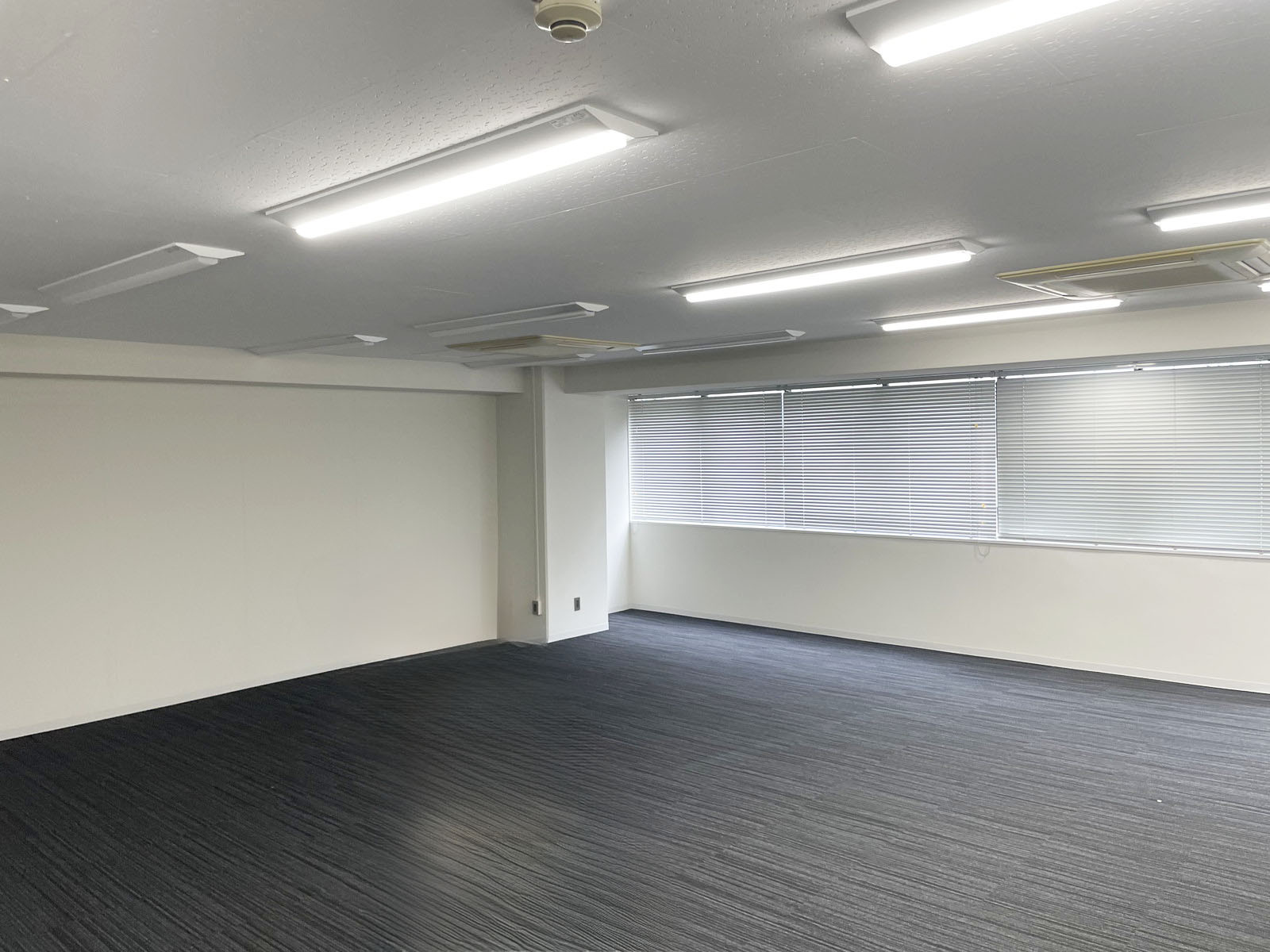 別角度の様子