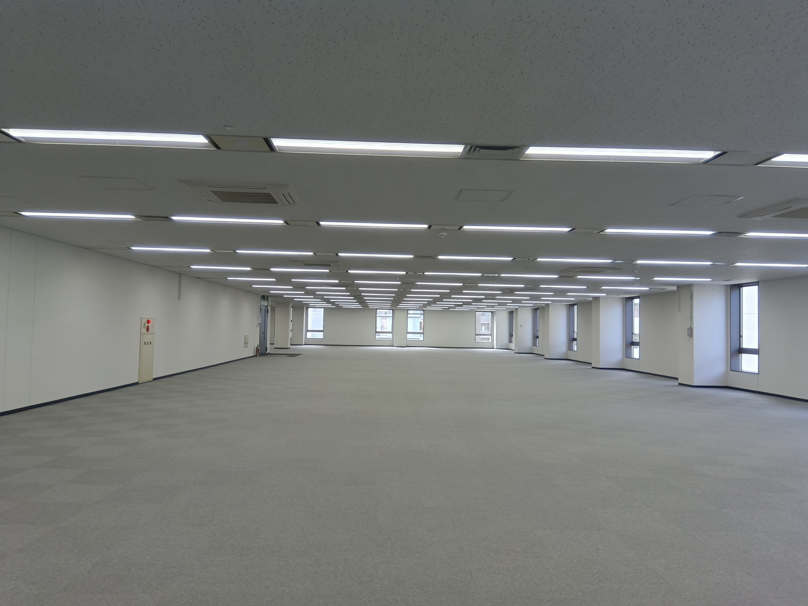 別角度の様子