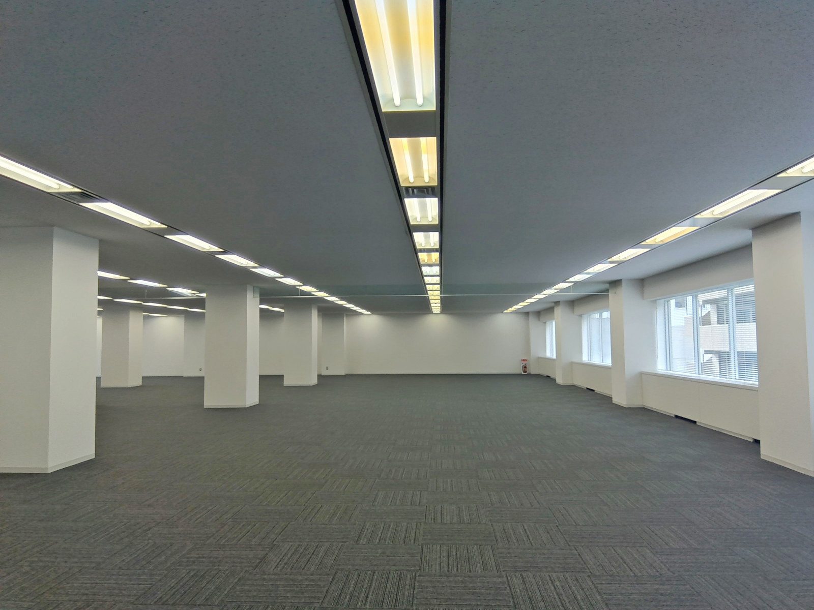 別角度の様子