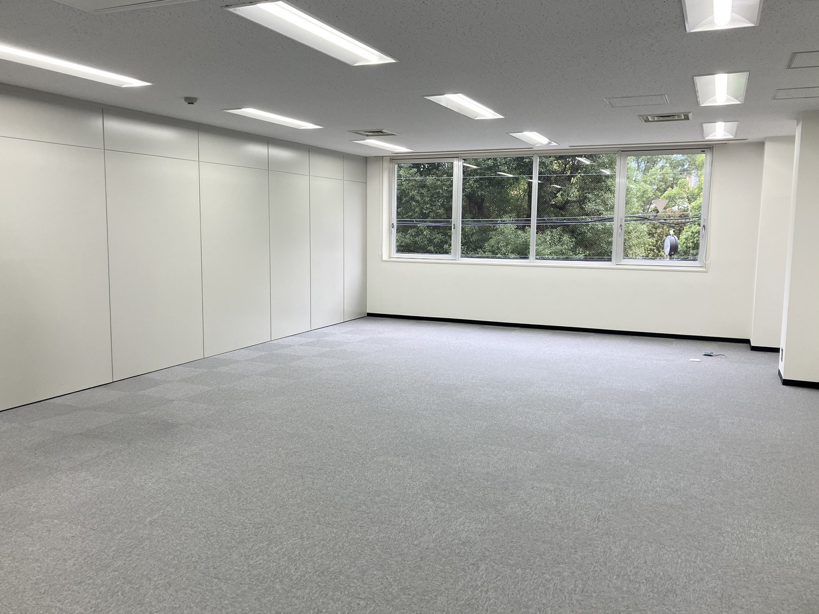 別角度の様子