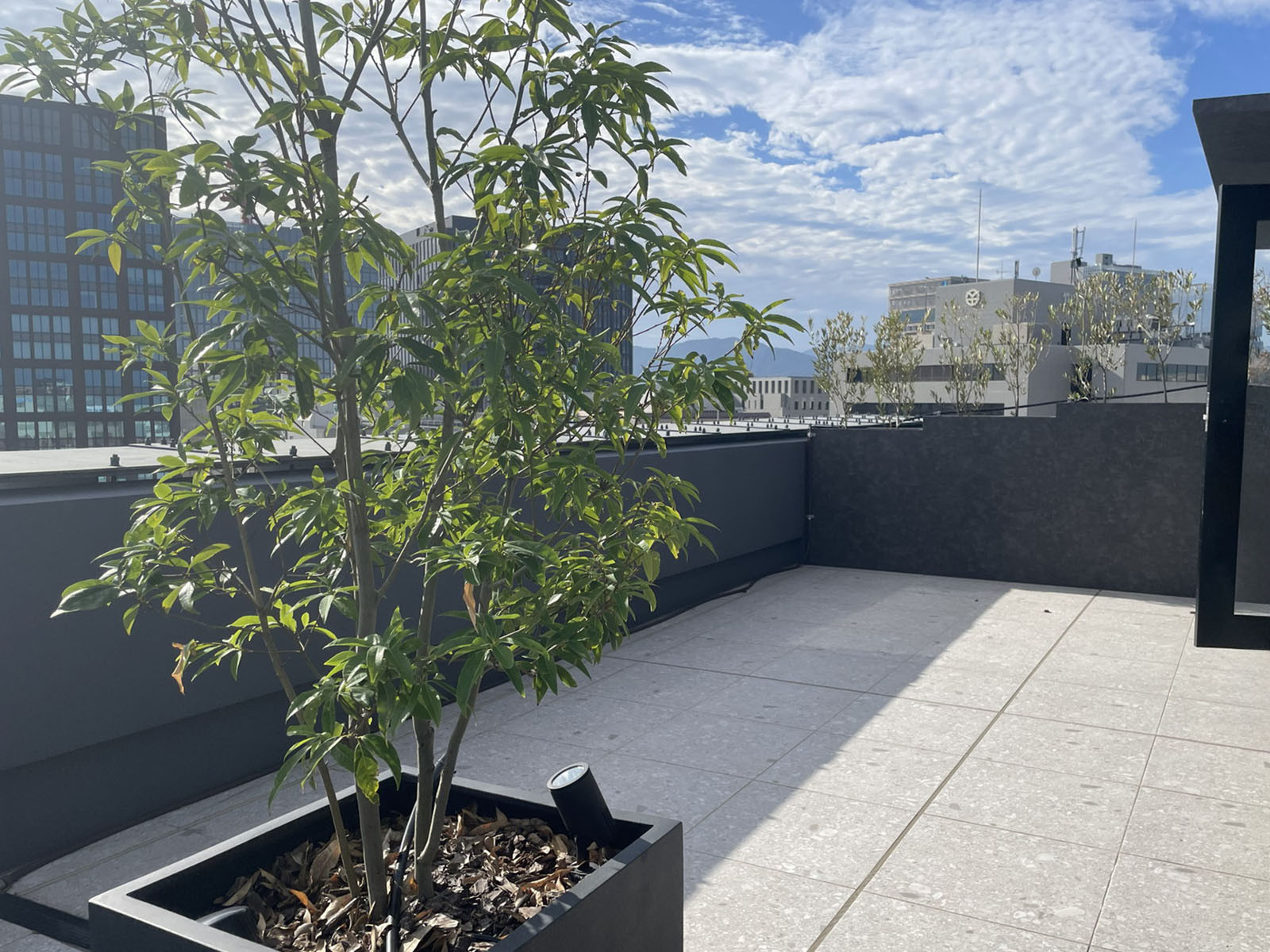 屋上