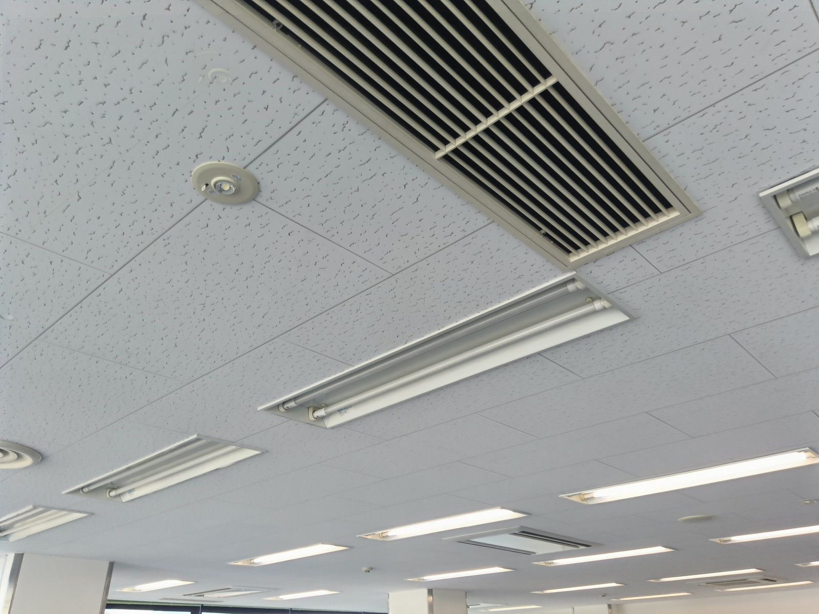 天井の様子