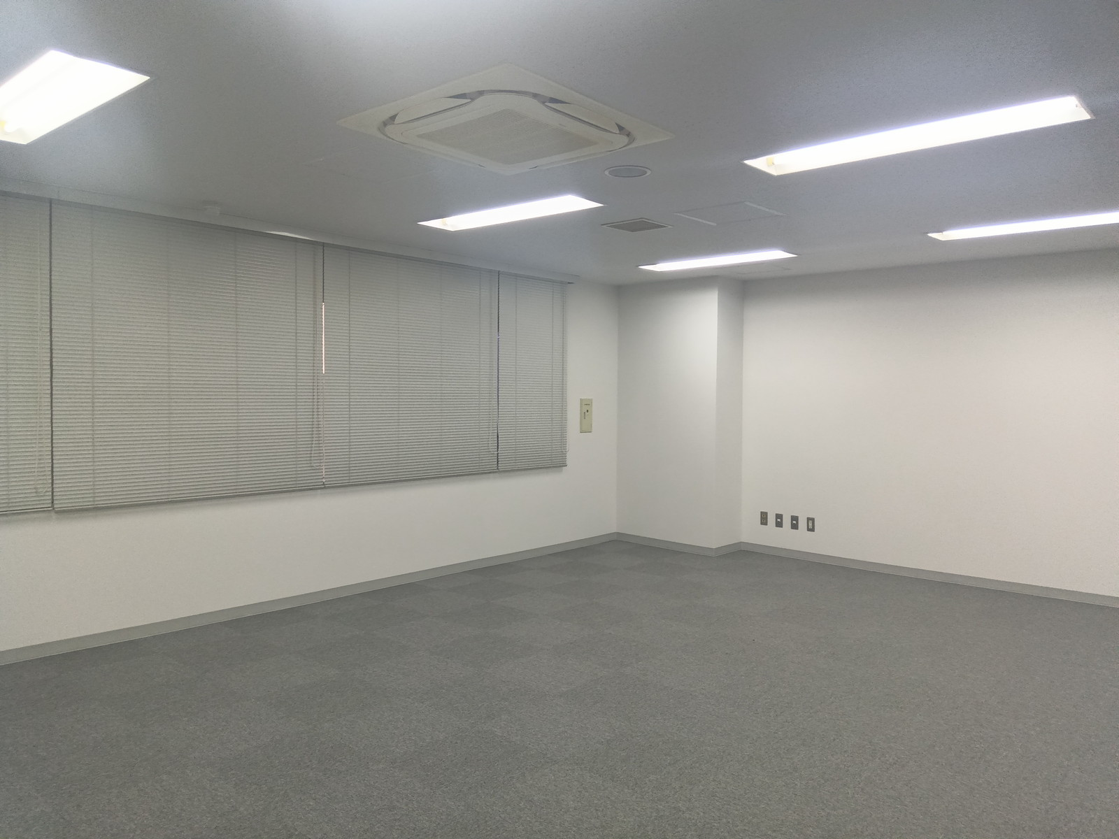 別角度の様子