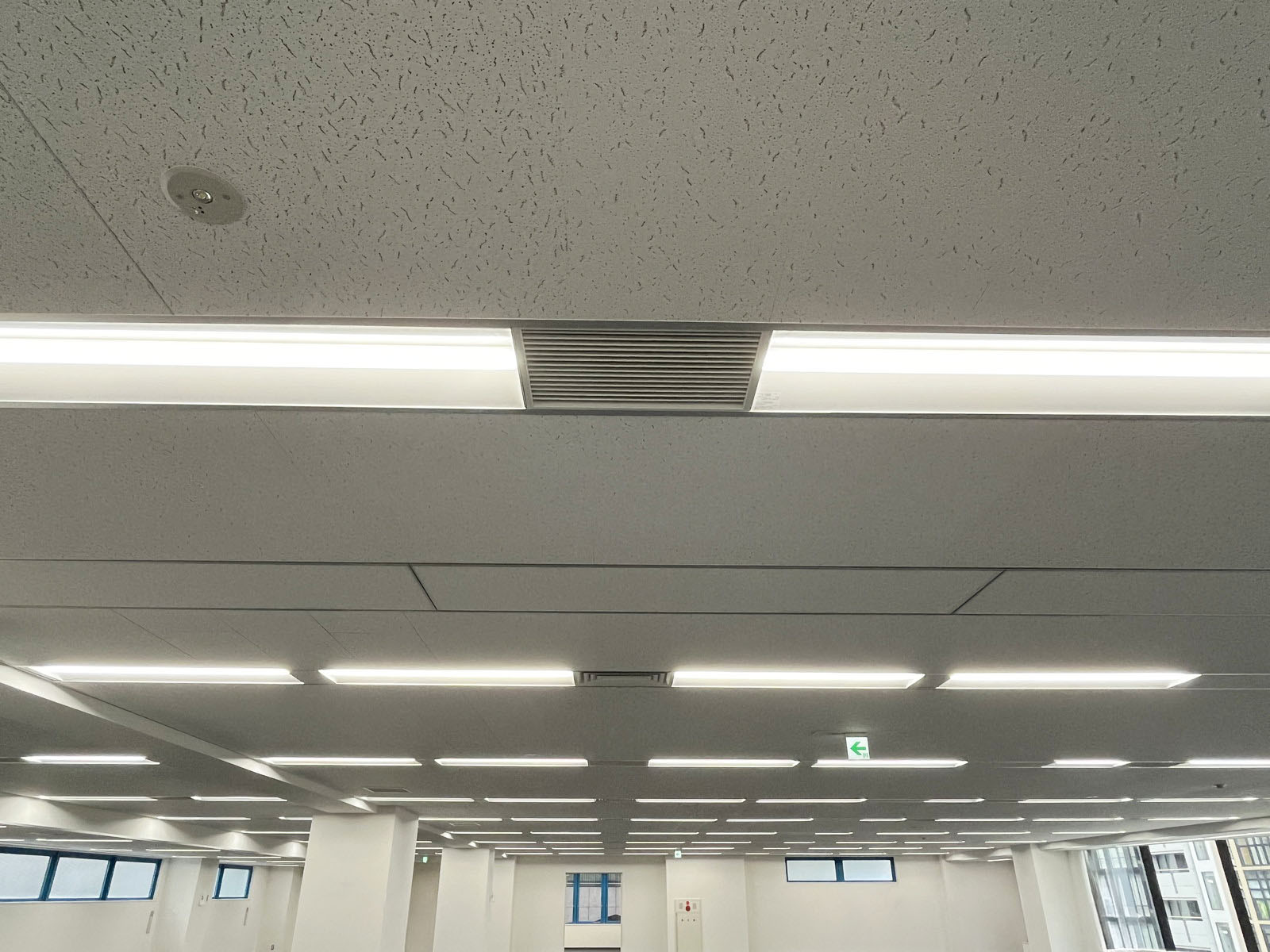 天井の様子
