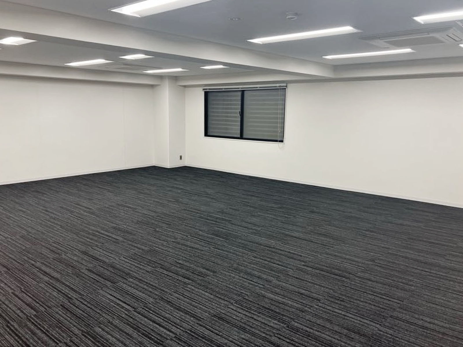 別角度の様子