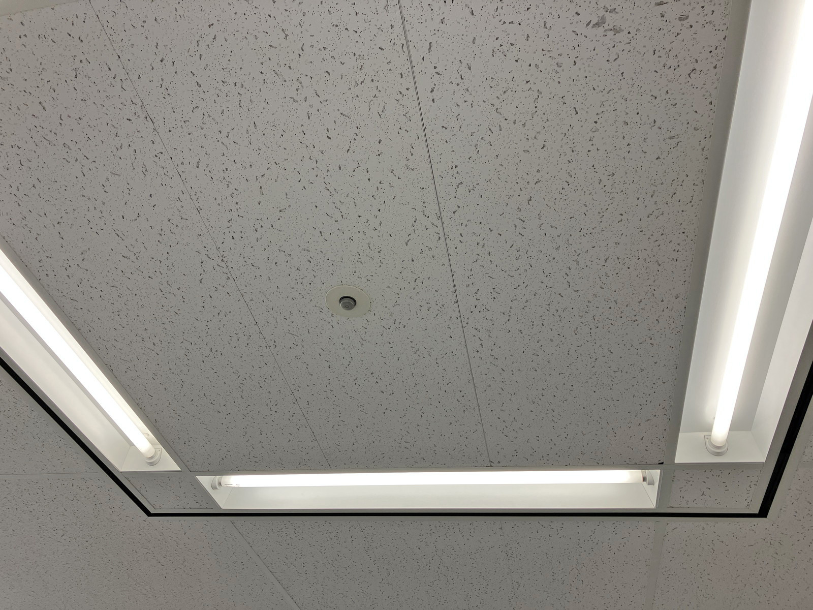 照明の様子