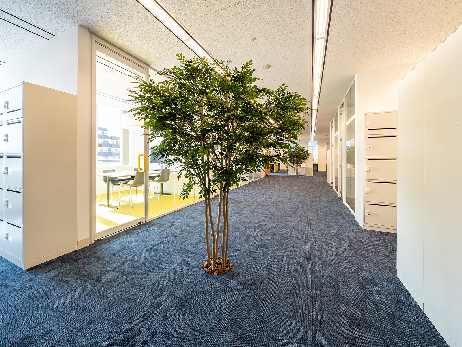 共有通路(5階)