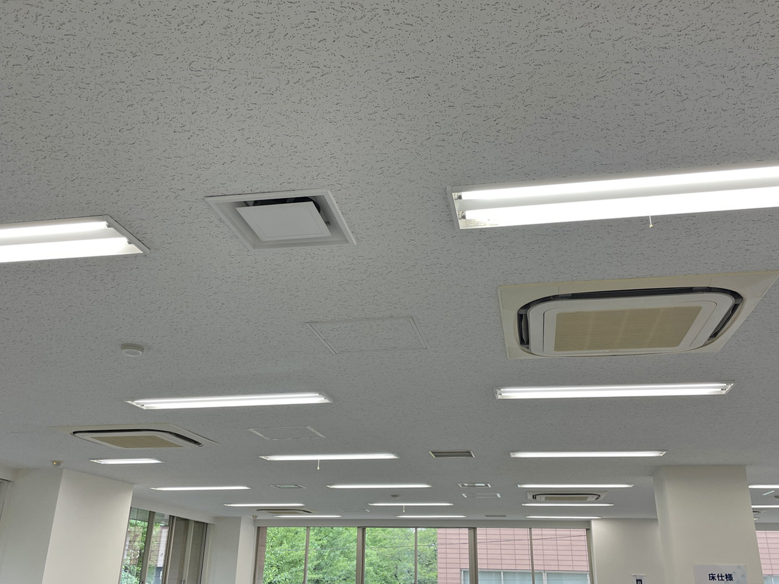 天井の様子